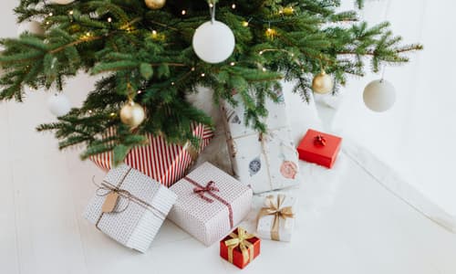 Colección Especial Navidad