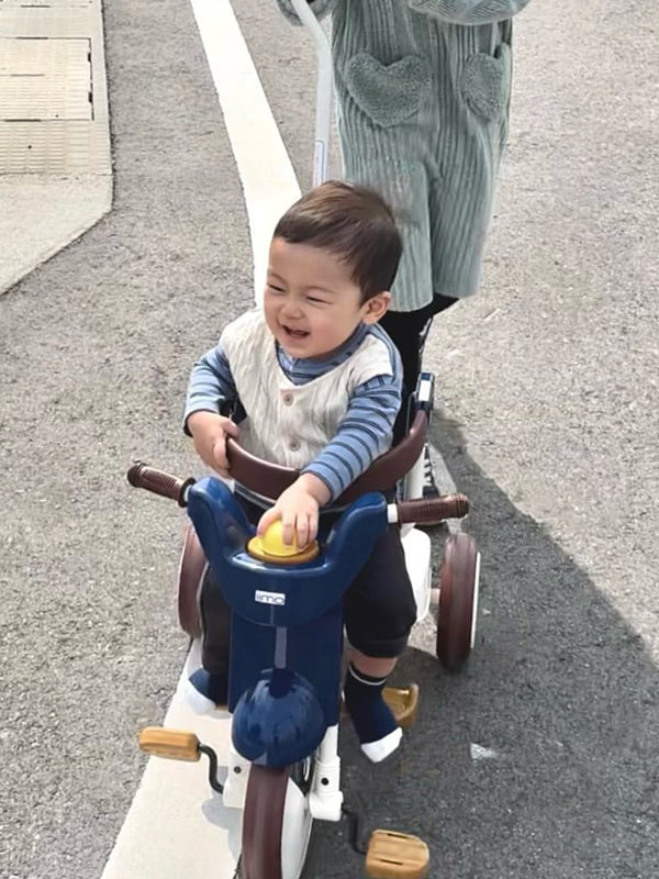 IIMO #02 - Tricycle-Elegant Blue