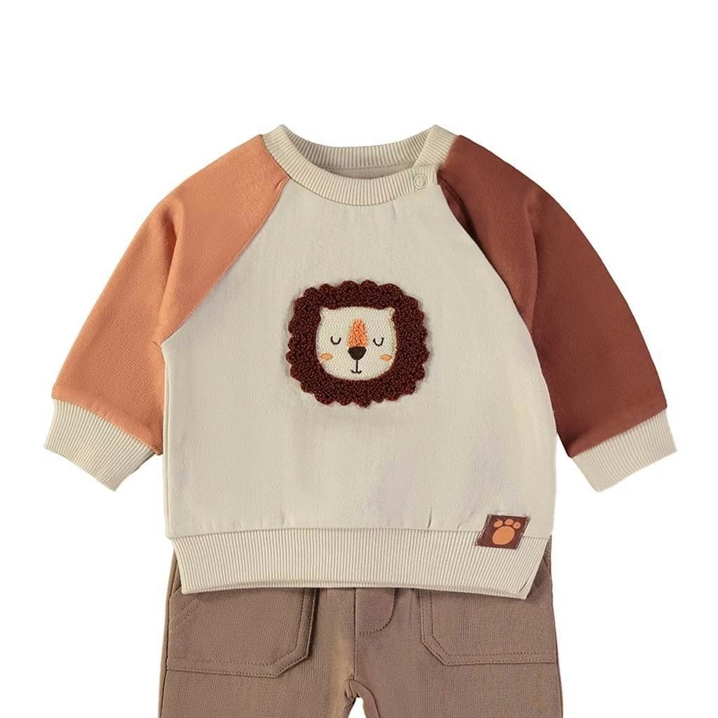 Ensemble bébé garçon Babybol gris et vert avec sweat et pantalon 522152110 Confort et style décontracté