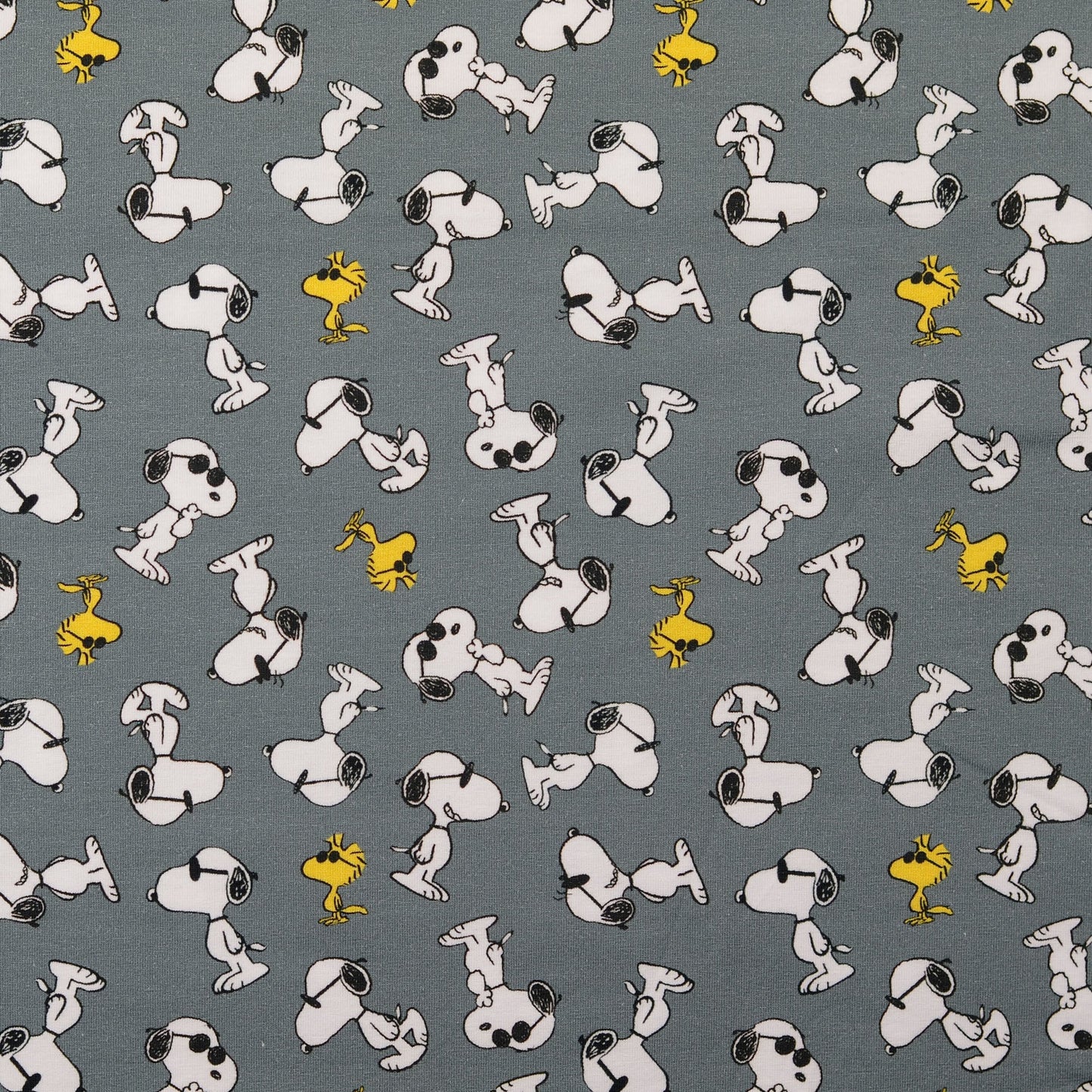 TRENZA PROTECTORA CAPAZO de COCHECITO | Colección Especial SNOOPY Gris (Pre-Order)