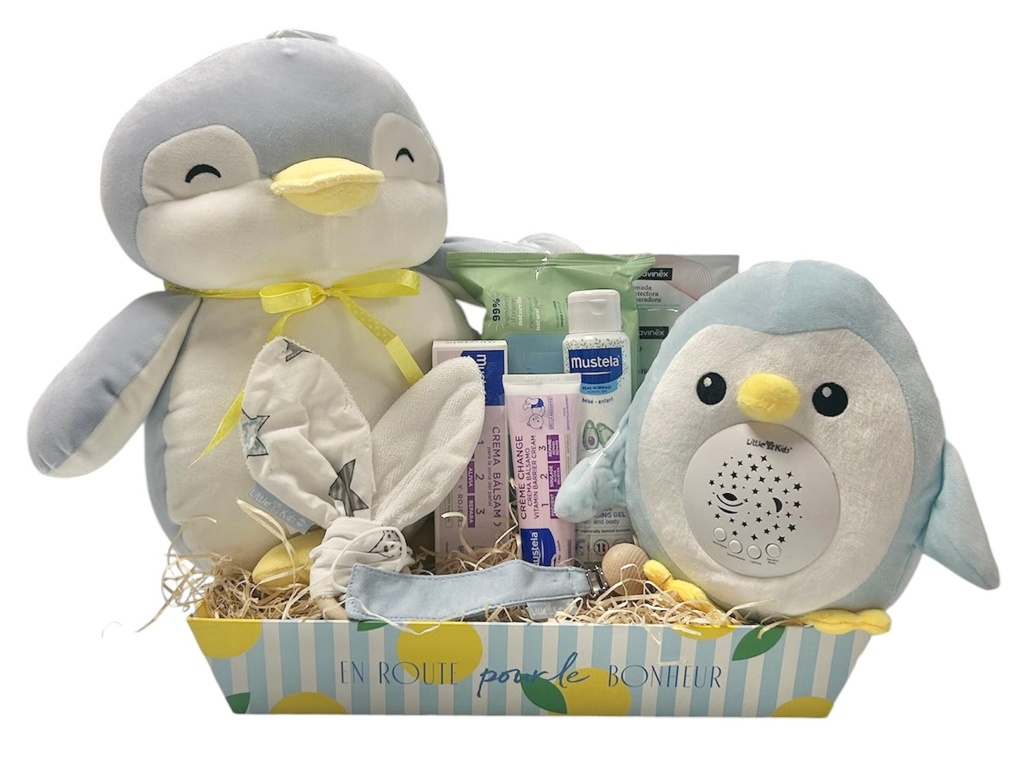Cesta regalo nacimiento bebé Pingüino Musty