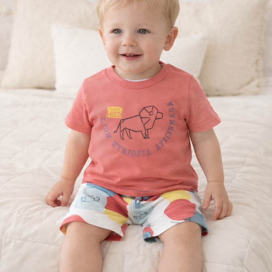 Conjunto bebé niño camiseta y short estampado Babybol 322032244 – Cómodo, divertido y veraniego ☀️