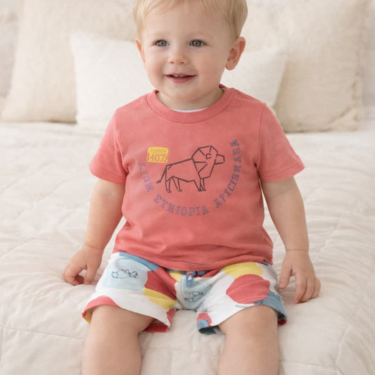 Conjunto bebé niño camiseta y short estampado Babybol 322032244 – Cómodo, divertido y veraniego ☀️
