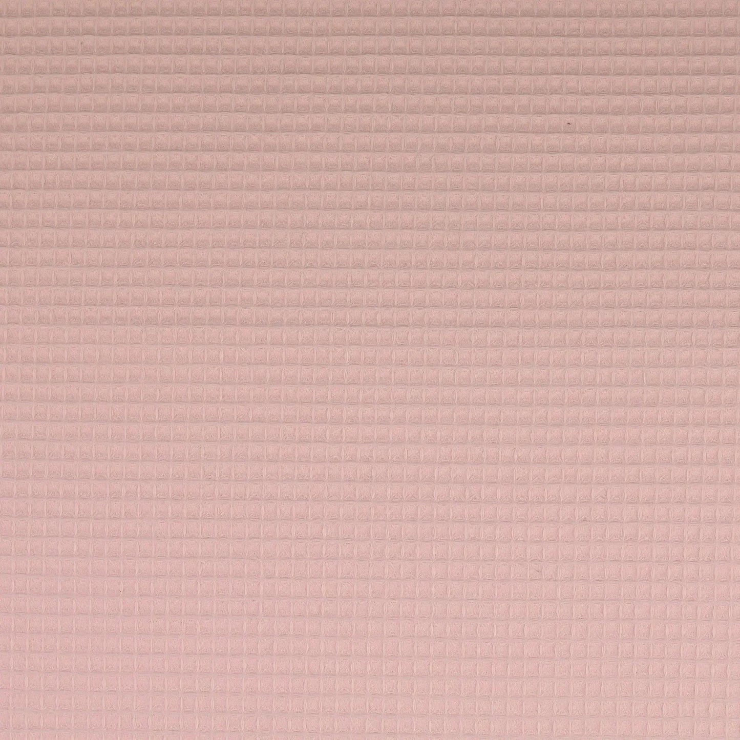 Pack Dúo Ahorro: 2 Trenzas Protectoras Personalizables (Unión 360º)